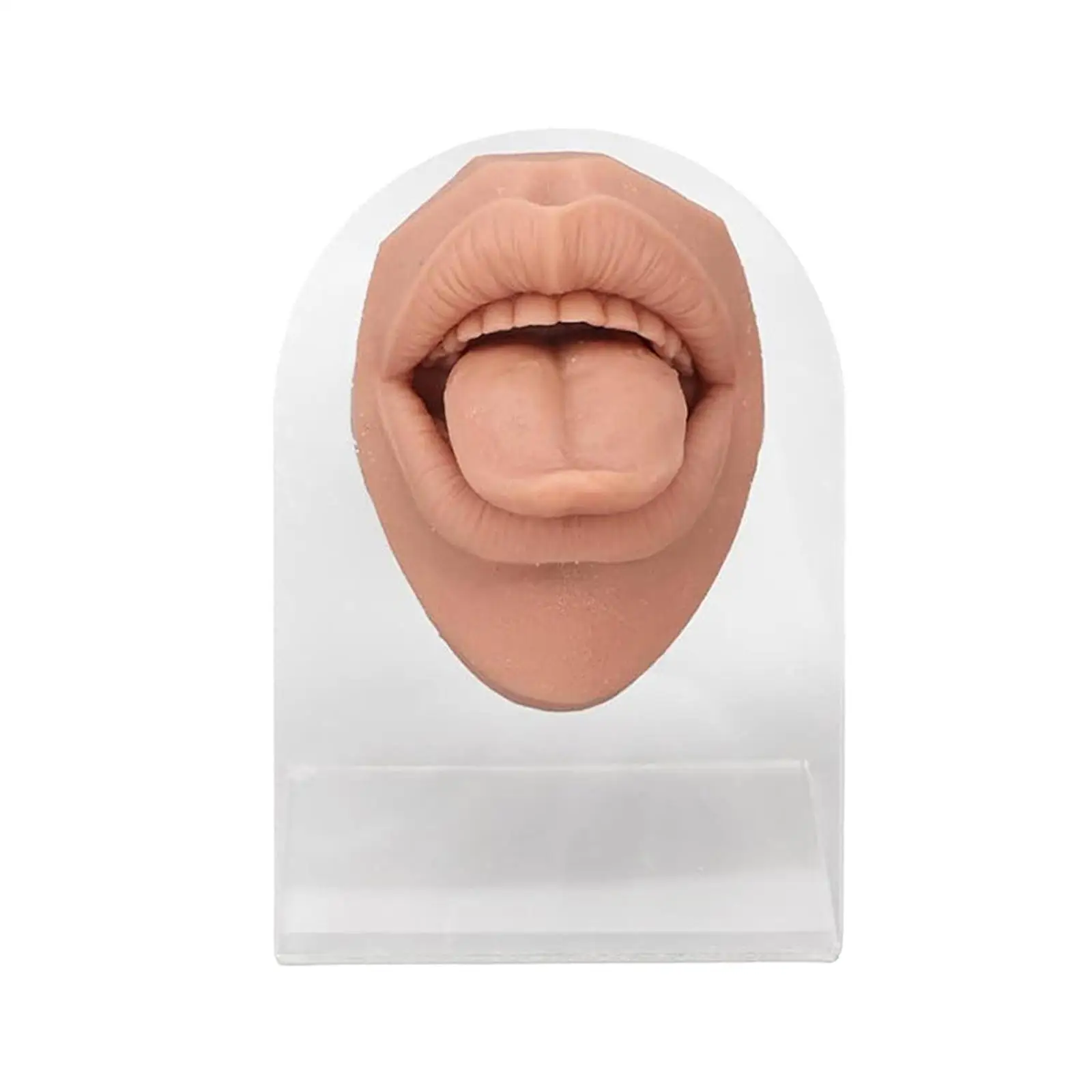 

Soft Silicone Tongue Mouth Display Simulation Flexible Body Part for Jewelry Piercing Practice Educational Tool