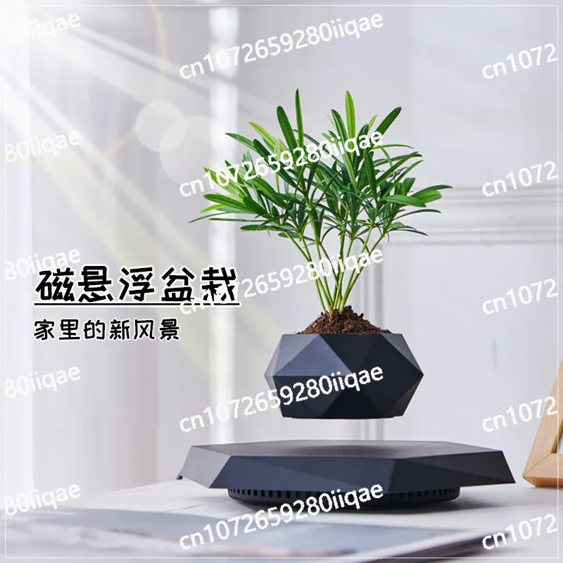 

Creative Bonsai Crafts Gifts Teachers' Day Gifts Living Room Maglev Potted New Flower Pots