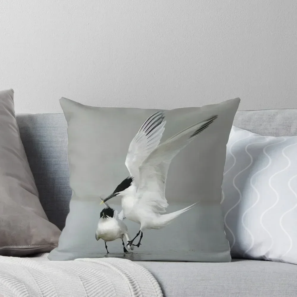 

Courting Sandwich Terns Throw Pillow Custom Cushion Photo christmas supplies Luxury Cushion Cover Cushion Cover For Sofa pillow