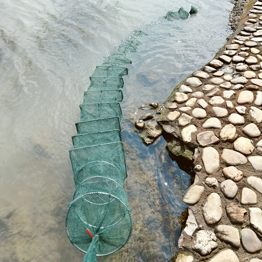 Thumbnail 3 - #71 Compare Fishing Traps Before You Buy