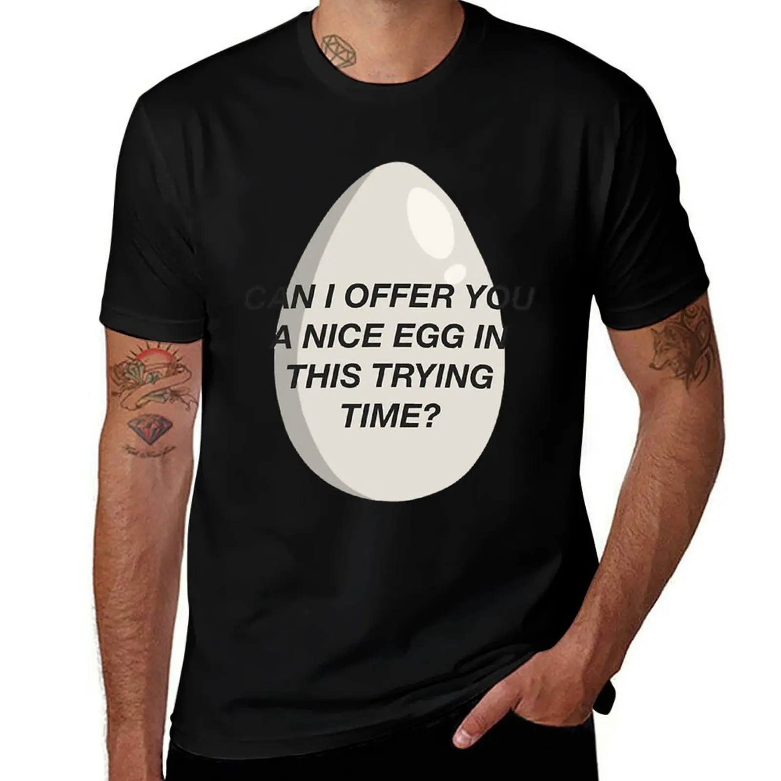 CAN I OFFER YOU A NICE EGG IN THIS TRYING TIME - It_s Always Sunny (1) T-Shirt Dry Fit Athletic Short Sleeve Shirt T-Shirt