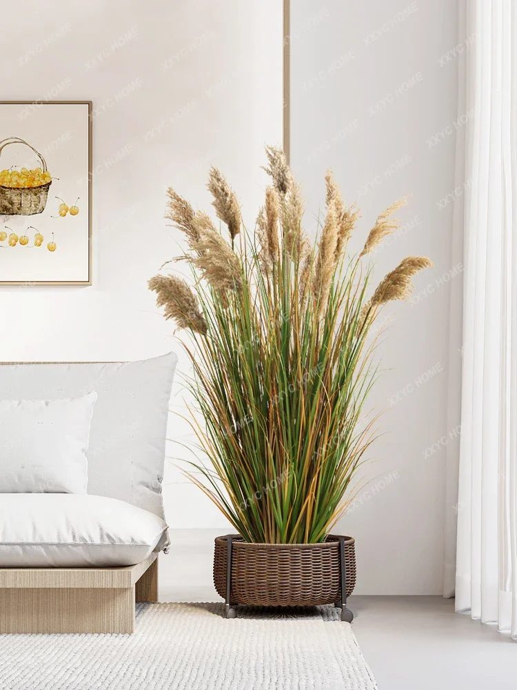 

Reed Grass Potted Dandelion Dogtail Grass Indoor Window Store Floor-Standing Decorations Landscape Decoration