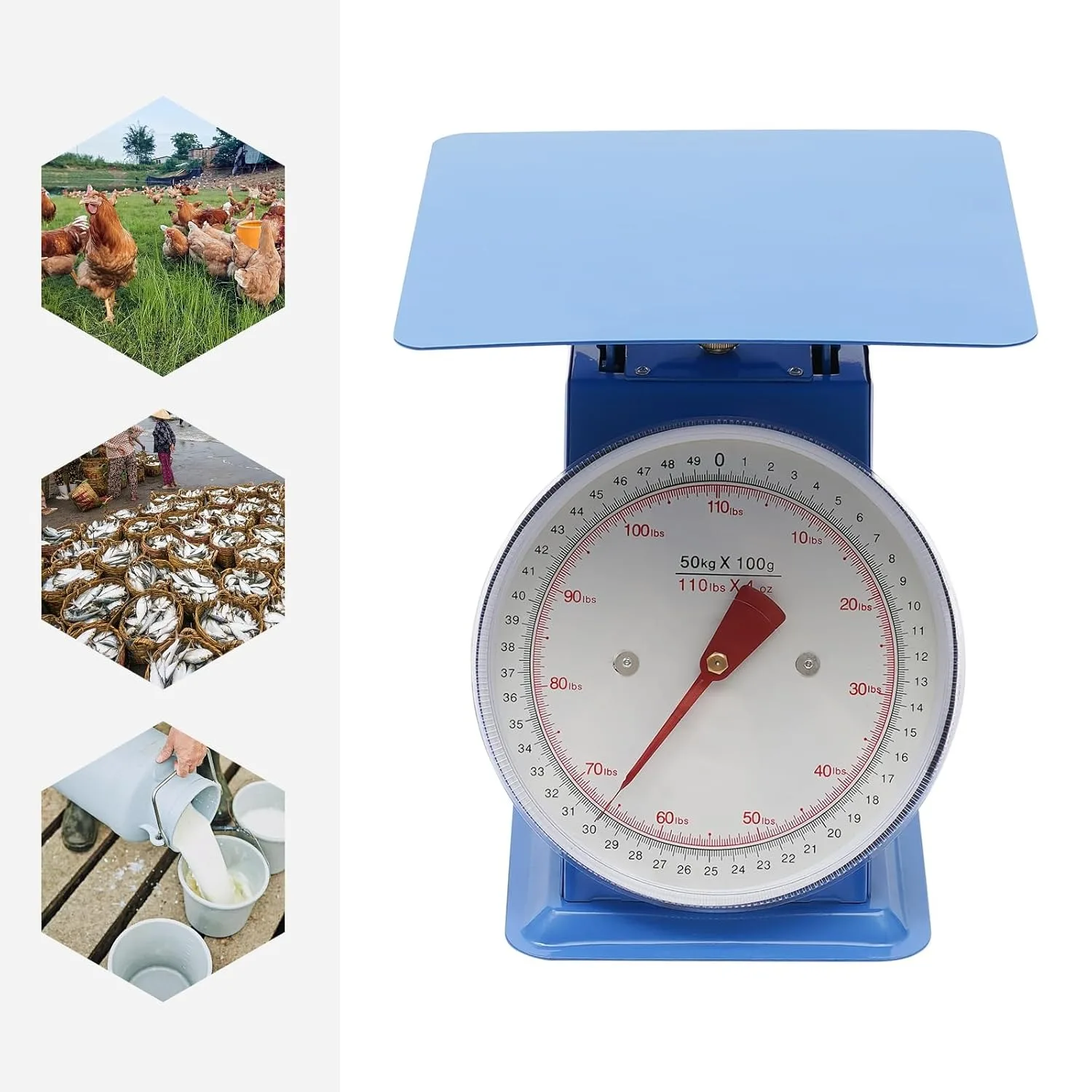 식품 체중계, 산업용 다이얼 체중계, 다리미 플랫폼, 슈퍼마켓, 식품 시장, 스낵 숍용 기계식 용수철 체중계