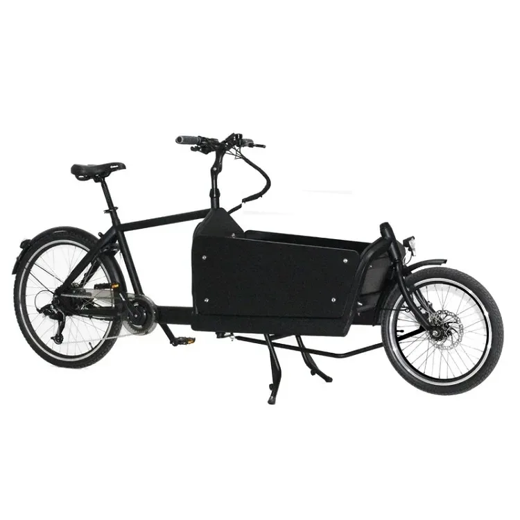 250W Electric Cargo Trike or Carry Children with Wood Box and Bafang Hub Motor KMC Chain Driver 7 Speeds Disc Brake