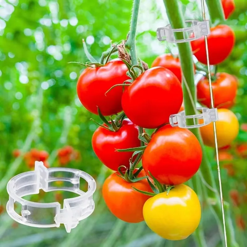 50/100PCS Plant Support Clips Reusable Plastic Plant Vine for Vegetable Tomato Garden Supplies Protection Grafting Fixing Tools