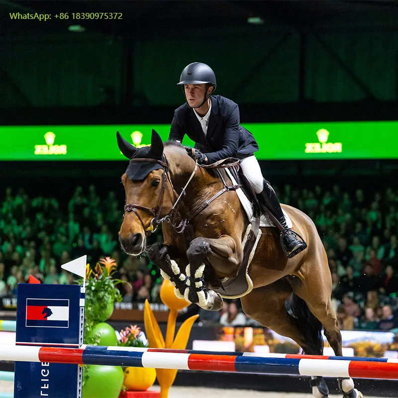 

Premium Equestrian Gear Customizable Colors Factory Direct Sales Wholesale Durable Metal Structures Horse Show Jumps