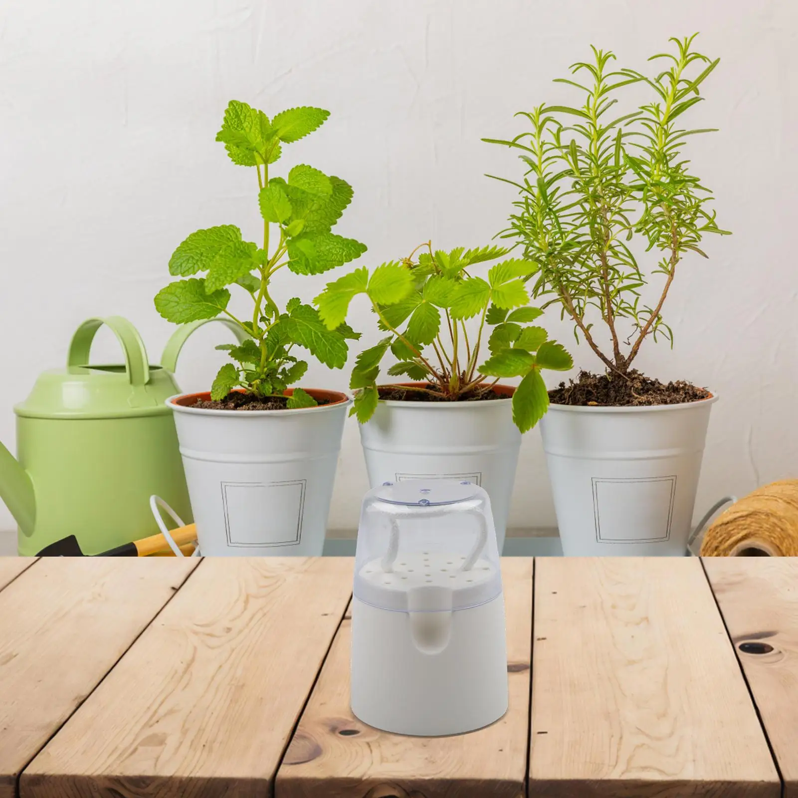 Plant Pot Self Watering Garden Small Flowerpot African for violet Pots Indoor Home Garden Modern Decorative Plant