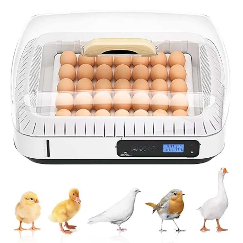 

KLYM-Automatic Egg Incubator with Temperature and Humidity Control, Chicken Coop, 35 Eggs Incubator