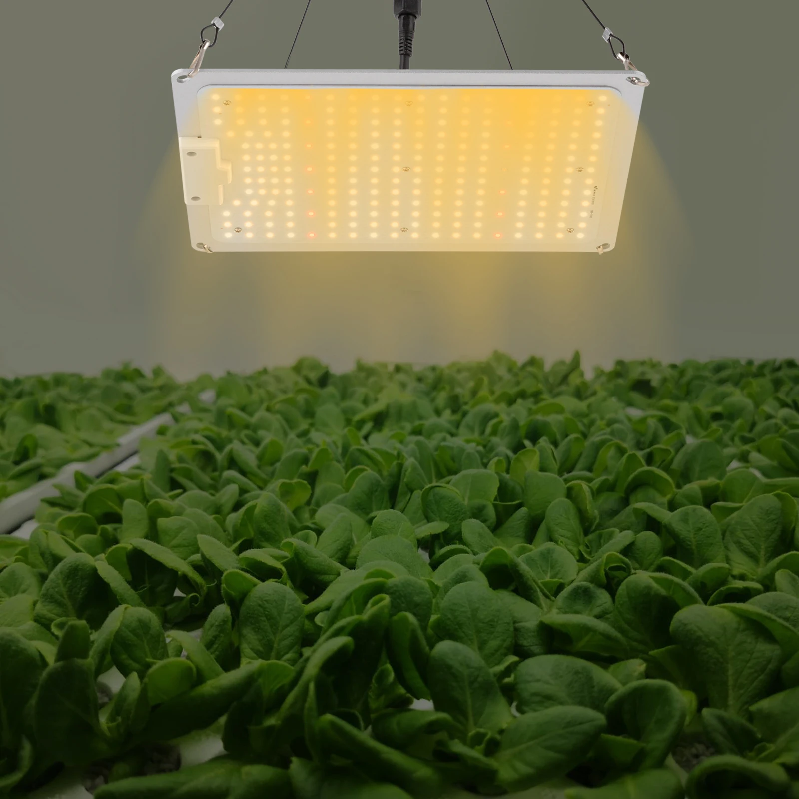 

110W Full Spectrum LED Grow Light IP65 Waterproof For Indoor Grow Tent Plants Growth Light Dimmable Growing Lamp LM301B