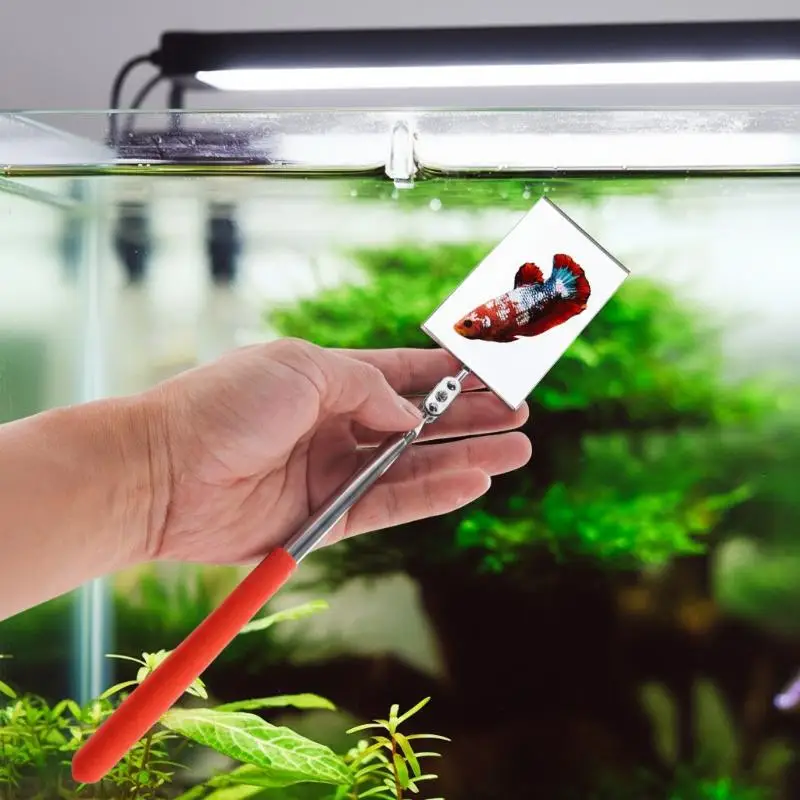 Durable Aquarium Betta Training Mirror Reflective Scalable Stainless Steel Design for Fish Exercise