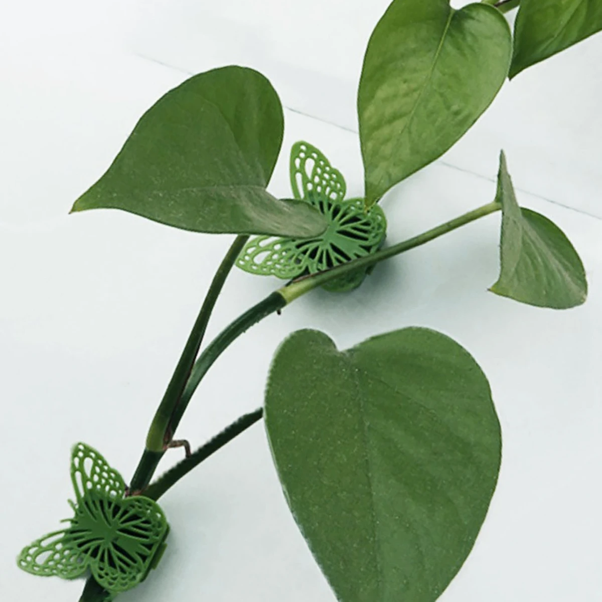 

10pcs-Green Luo Fixer Vine Green Plant Wall Fixing Buckle No Trace Vine Shaped Climbing Buckle Line Sorter