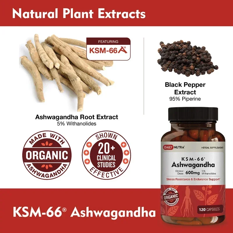 KSM-66 Ashwagandha - 600 Mg Organic Root Extract - High Potency Supplement with 5% Withanolides | Stress Relief