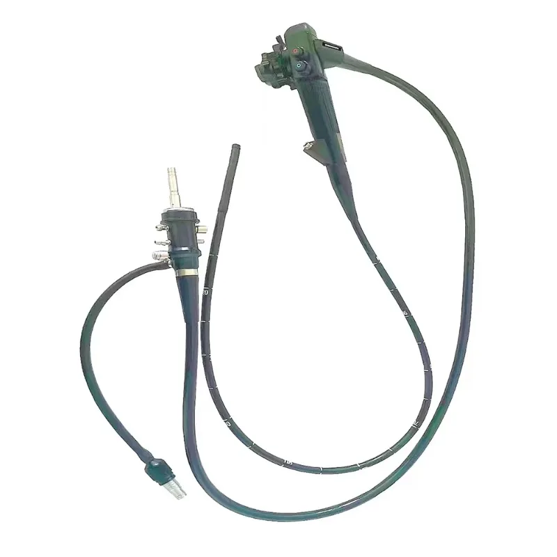 Veterinary clinical endoscopes with flexible range - ultrasound and electronics
