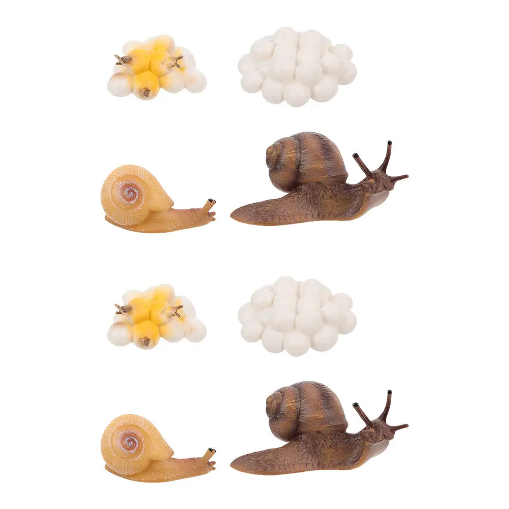 2 juegos de decoración del ciclo de crecimiento de caracol, adorno educativo del ciclo de vida para niños, juguete de desarrollo cognitivo, figuras de animales