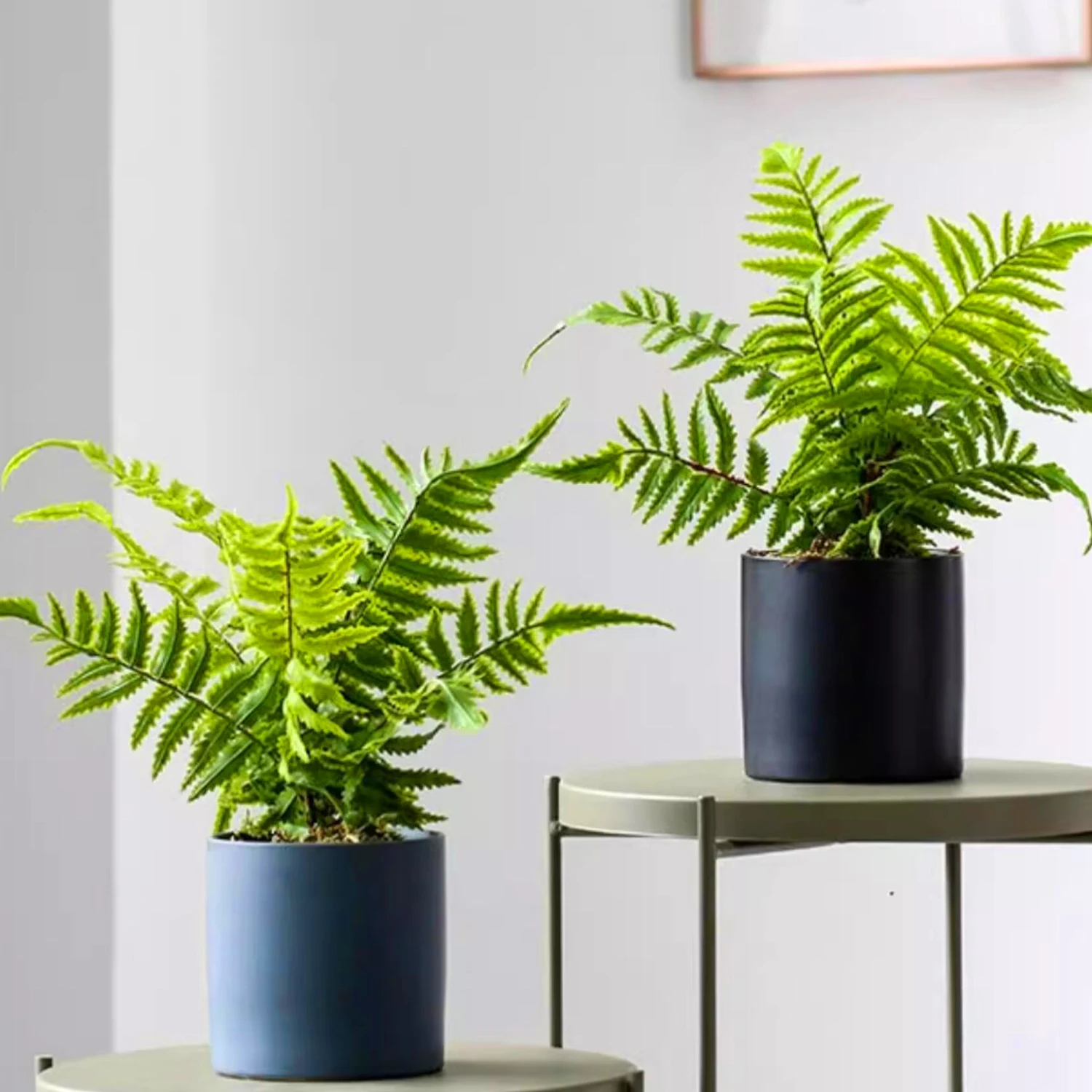 33-48cm Artificial fern leaves Persian grass plant wall accessories greening materials DIY landscaping home office decoration