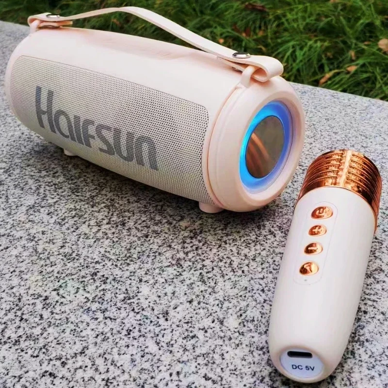 مكبرات صوت بلوتوث صغيرة محمولة مع ميكروفون مزدوج ، مضخم صوت كاريوكي ، باس قوي ، USB ، AUX ، مدعومة لحفلات السفر في الهواء الطلق