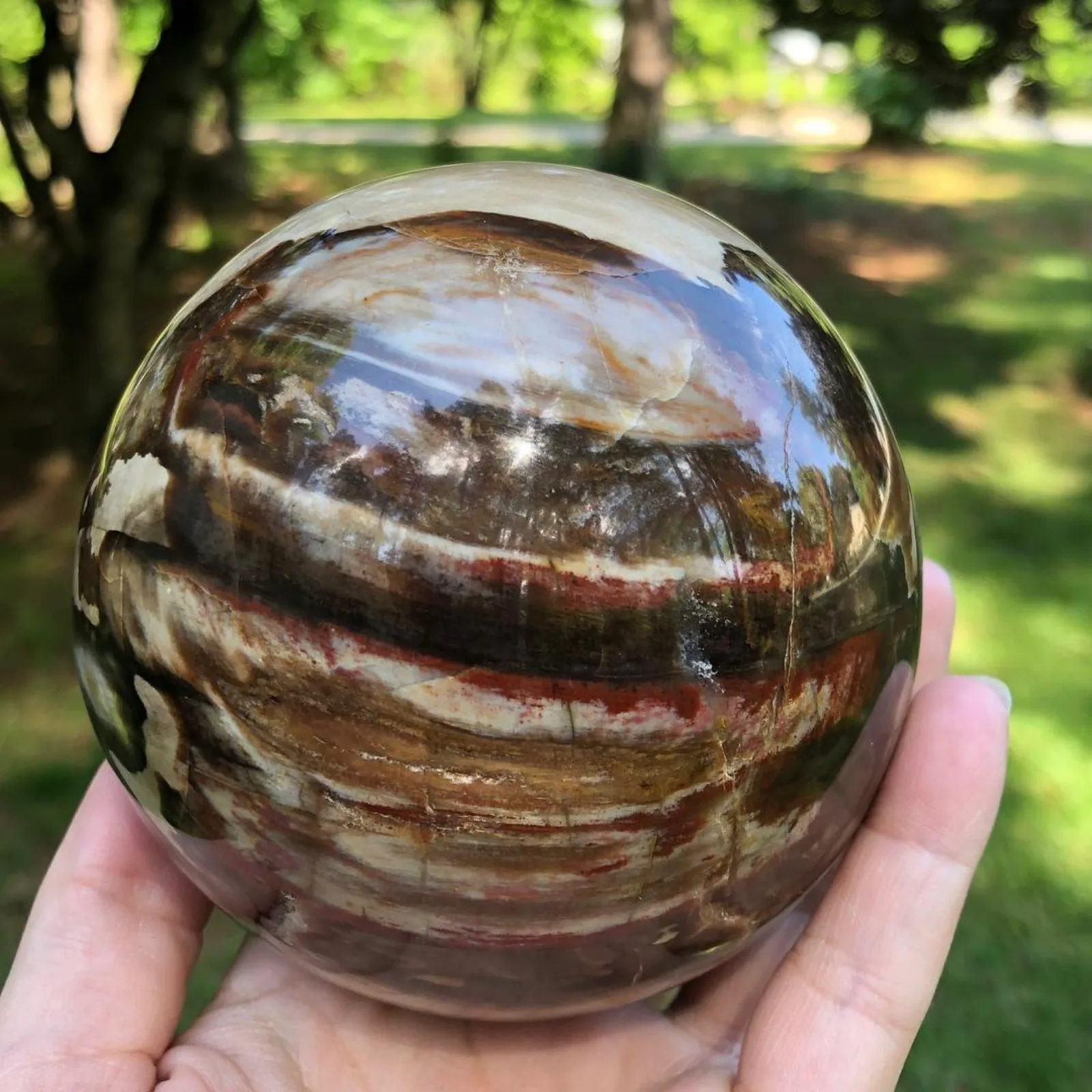 

1pc Unique Petrified Wood Sphere - Polishing stone sphere - suitable for home and office desk decoration, stone collection