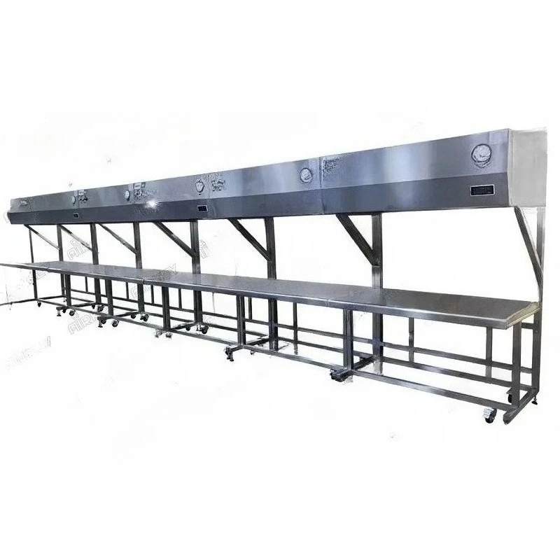 Efficient Horizontal Laminar Flow Clean Bench for Mushroom Lab with Filter and Air Shower System