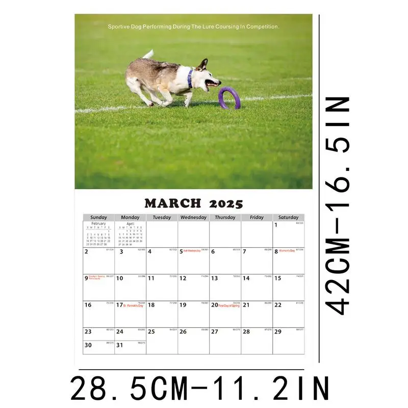 Kalender anjing husky lucu 2025 perencana tahunan kalender dinding kalender Bulanan 13 bulan kalender kertas tebal kalender 2025