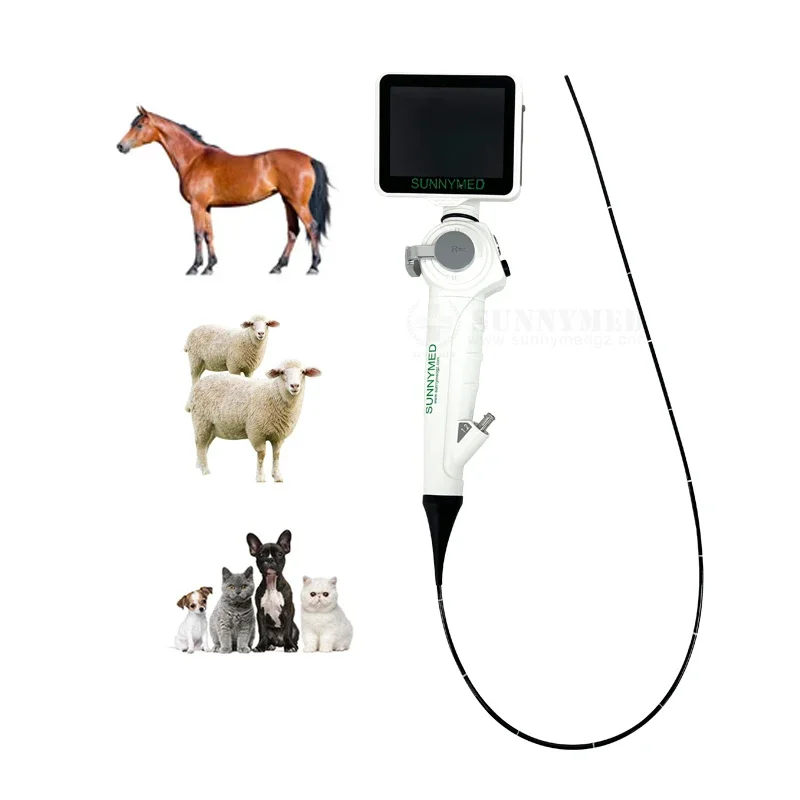 Flexible video endoscope veterinary endoscope ent veterinary portable endoscope flexible endoscopy system for big animals