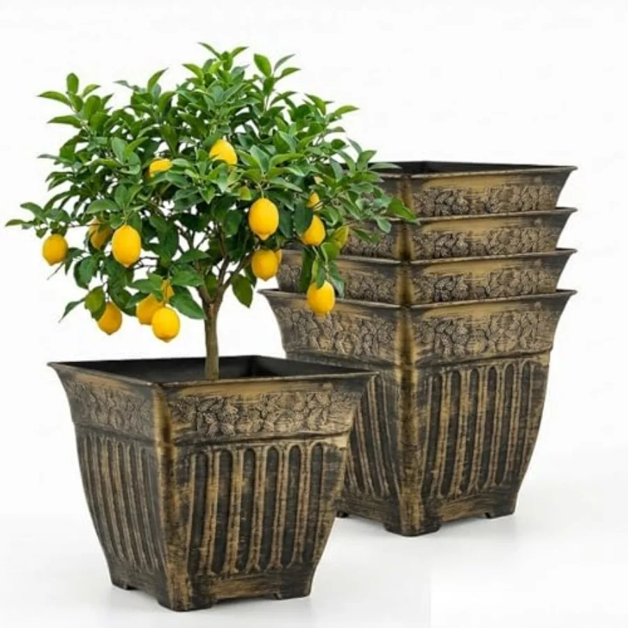 4 H Vinge Square Pl…