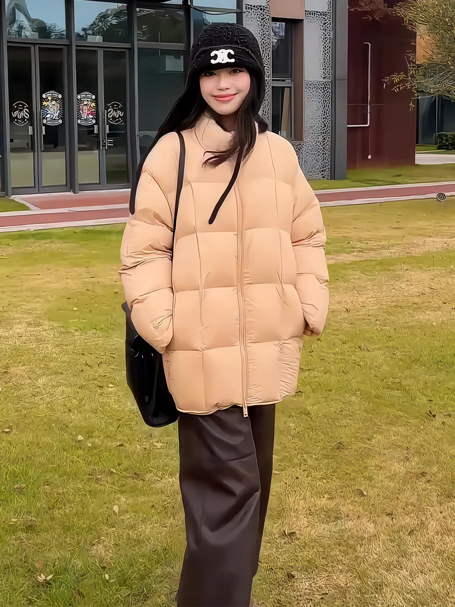 

Корейская женская зимняя утепленная куртка-пуховик с воротником-стойкой, свободного кроя, универсальная, теплая верхняя одежда