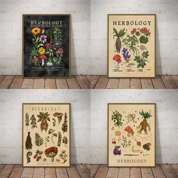 Herbology Plants Illustration Poster Canvas Painting Kitchen Witch Decor Mushroom Green Witchcraft Pictures