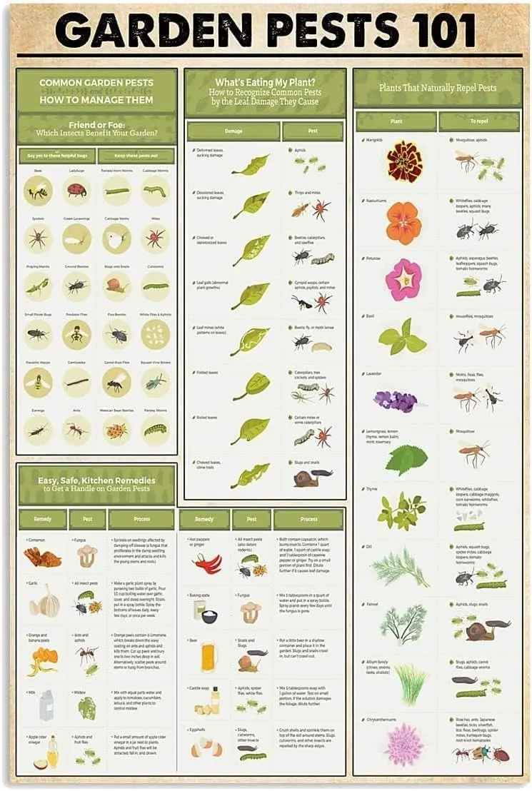 ESETASOT Plaques Métalliques 101 Nuisibles du Jardin, Affiches en Aluminium, Affiches de Connaissance pour Jardiniers, Guides de Référence pour le Jardin, Plaques Décoratives pour la Maison