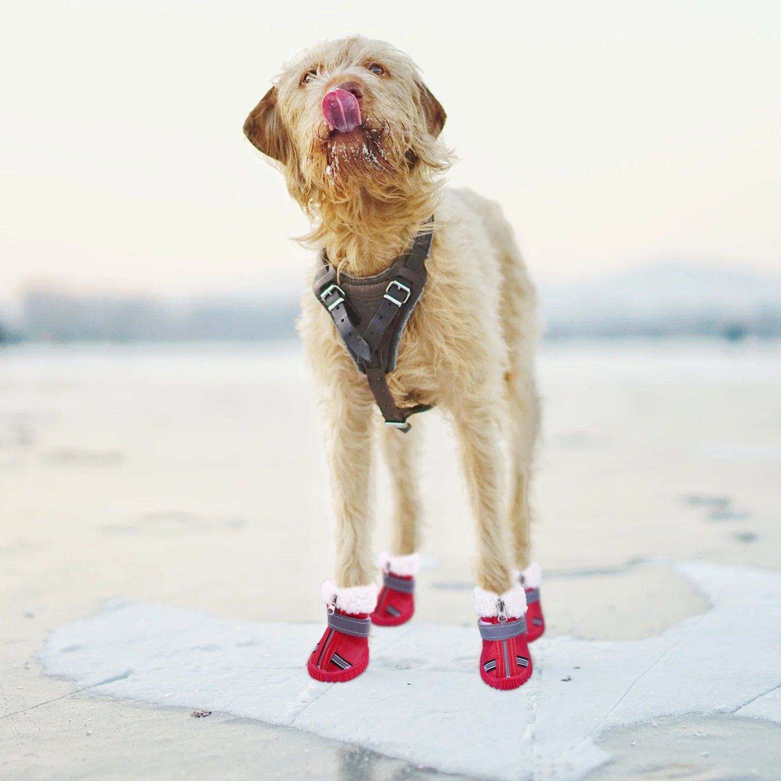 

4 Pcs Thickened Snow Cotton Dog Shoes Chihuahua Small Pet Anti Skid Boots Paw Protectors Puppy Short