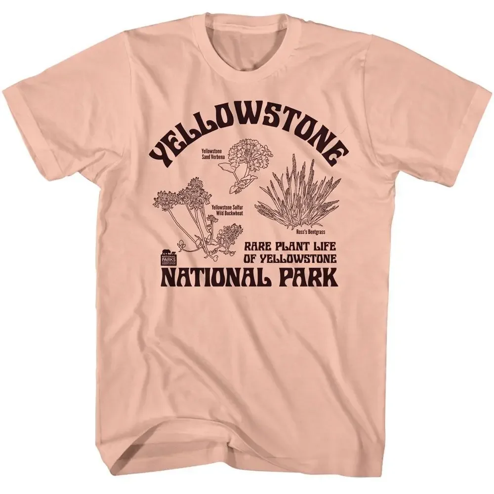 Rare Plants Yellowstone National Park Brands T Shirt