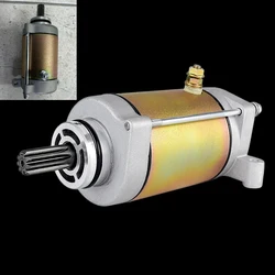 Starter Motor for Linhai 500 D / M550 EFI / M550L EUROPE EFI ATV