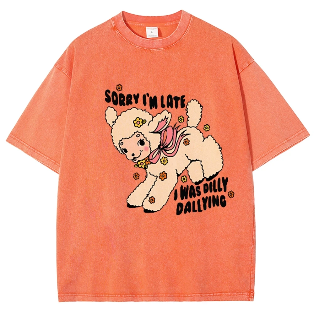 Dilly Dallying Shirt Sorry I'm Late Funny Sheep Lamb T-Shirt, Oversized Washed T-Shirt Women Graphic Retro Vintage T Shirt