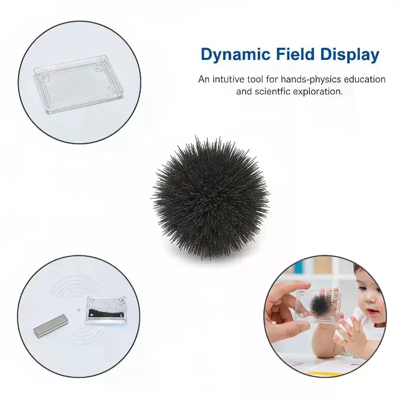 Physics Electromagnetism Experiment Magnetic Induction Line: Demonstrator Teaching Instrument School Lab