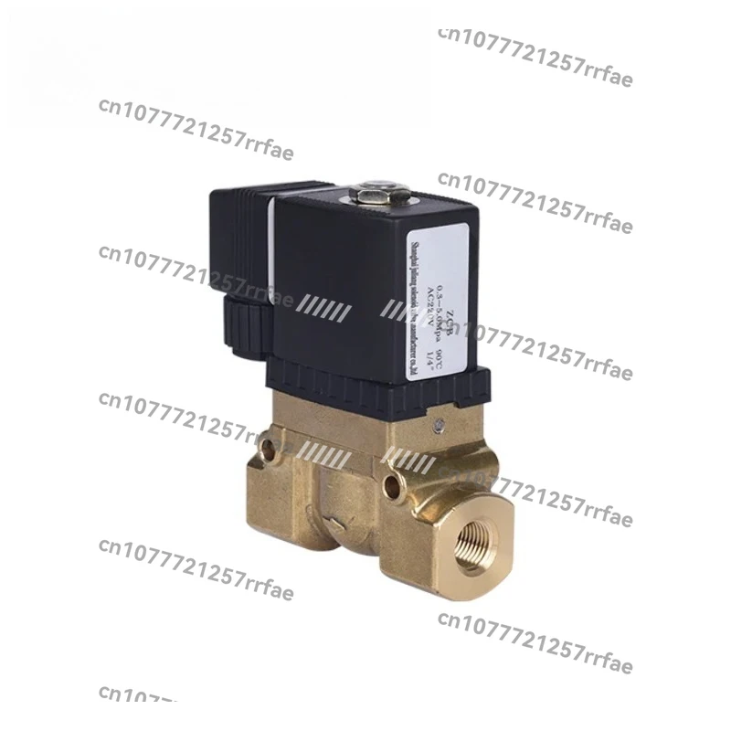 AC220V DC24V brass high pressure compressor solenoid valve