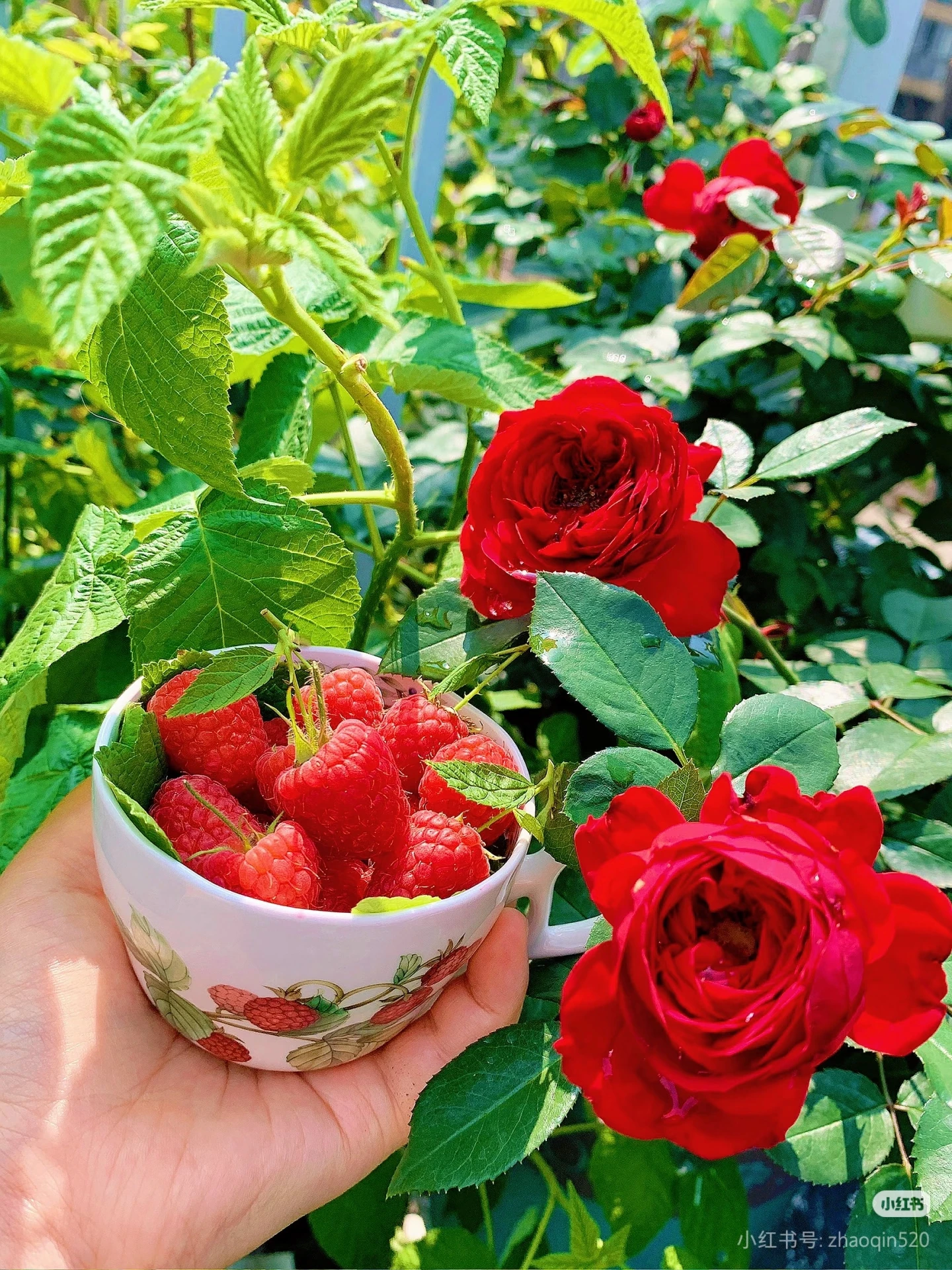 

Новейший высокомощный диодный лазерный аппарат для эпиляции 2026 года с четырьмя длинами волн для перманентного удаления волос