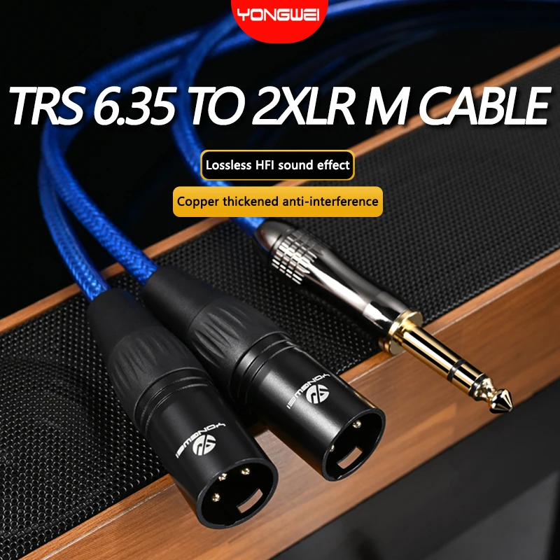 

YONGWEI HiFi 6.5mm to 2XLR Audio Cable 6N gold plating 6.35mm to Dual XLR Female 3Pin Audio Cable for Amplifier Mixer Speaker