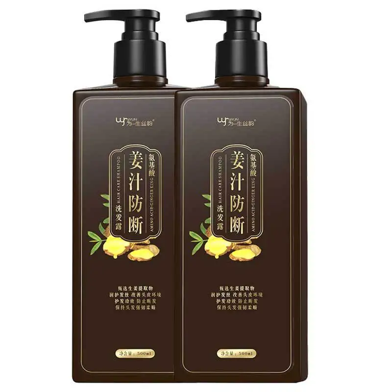 Champú de jengibre para cabello graso | Aminoácido Volumizante y Anticaspa | Control de caída del cabello