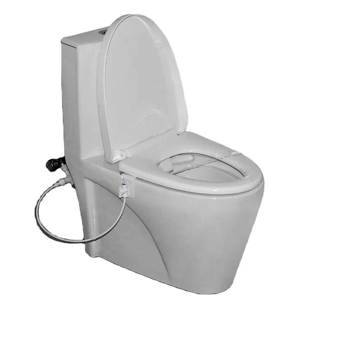 

z Традиционное крепление для унитаза в ванной комнате с одной насадкой, неэлектрическое ручное биде