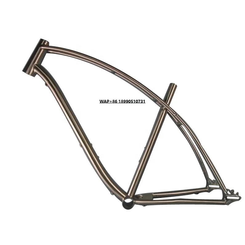 

Fashion Style Titanium Mountain Bicycle Frame with Belt Drive Design