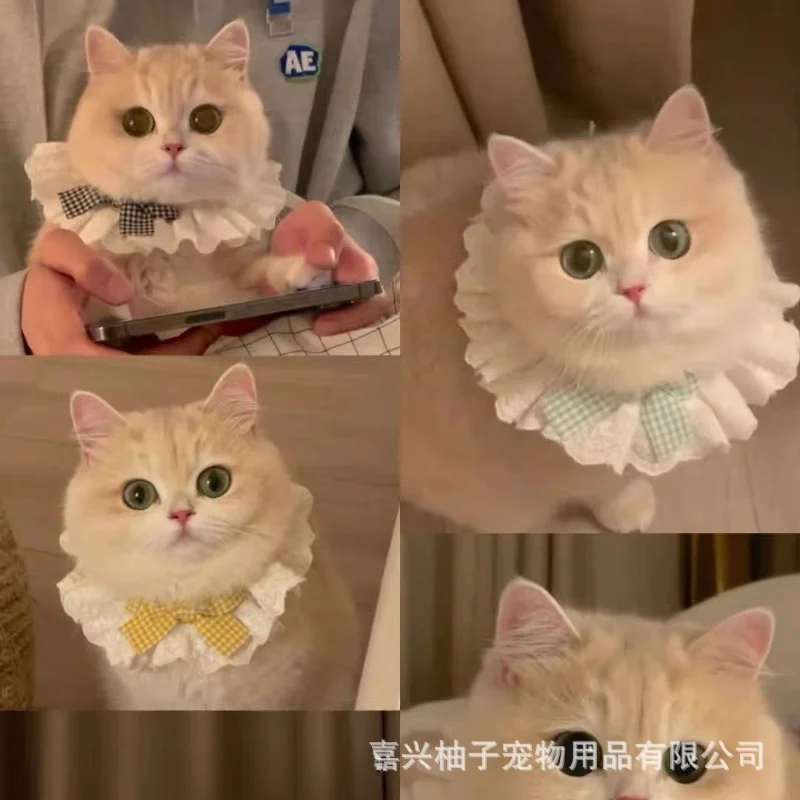 

Cat Lace Scarf Collar Saliva Towel