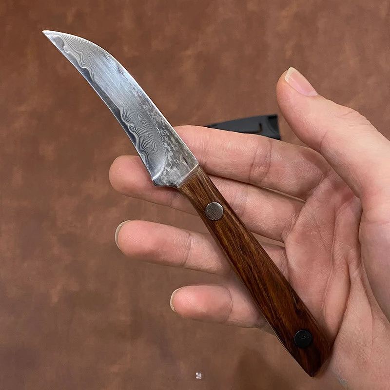 RHON 67 Layer Damascus Steel Forged Multifunctional Fruit Knife Eagle Beak Small Curved Engraving Petty Knives with Wood Handle