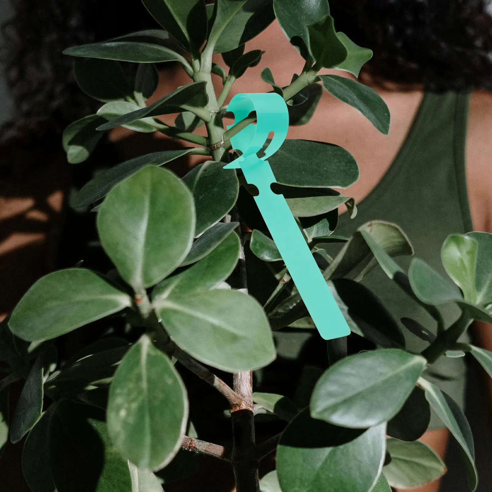 100Pcs Plant Tree Tags Plastic Waterproof 2x20cm Large Writing Surface Garden Nursery Labels Green Plant Label