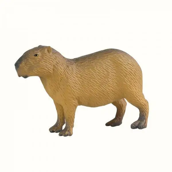 6x Animals Model Realistic Figures Toys Action Figure Collection Science Educational Toy