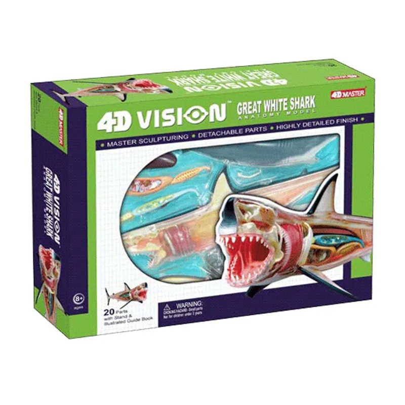 4D Shark Intelligence Assembling Toy Animal Organ Anatomy Model Medical Teaching DIY Popular Science Appliances Tools