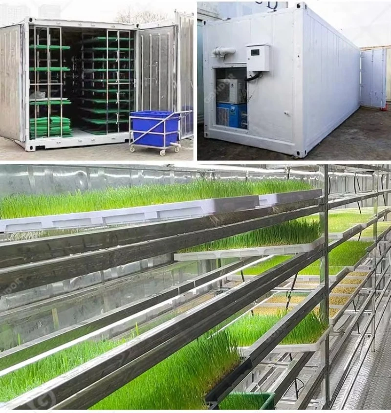 Custom Large Smart Farmmushroom Grow Box 40ft Farm Suitable for Mushroom and Forage Cultivation