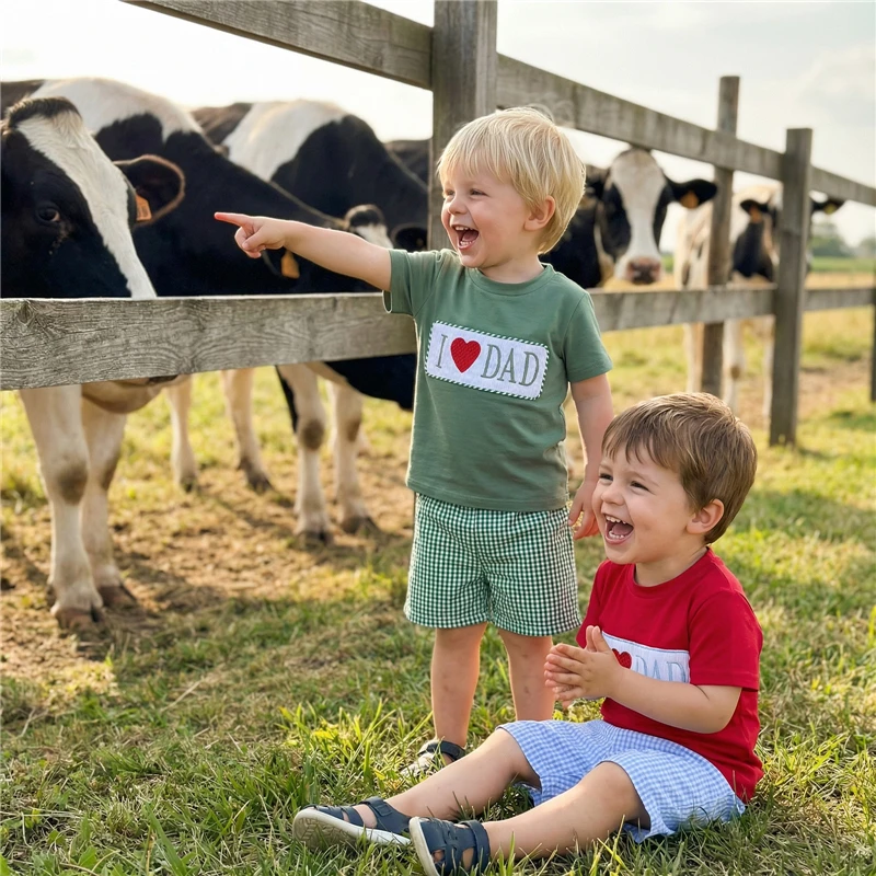

Летний наряд для маленьких мальчиков, топы с короткими рукавами и вышивкой в ​​виде сердца, с круглым вырезом и клетчатые шорты, комплект из 2 предметов