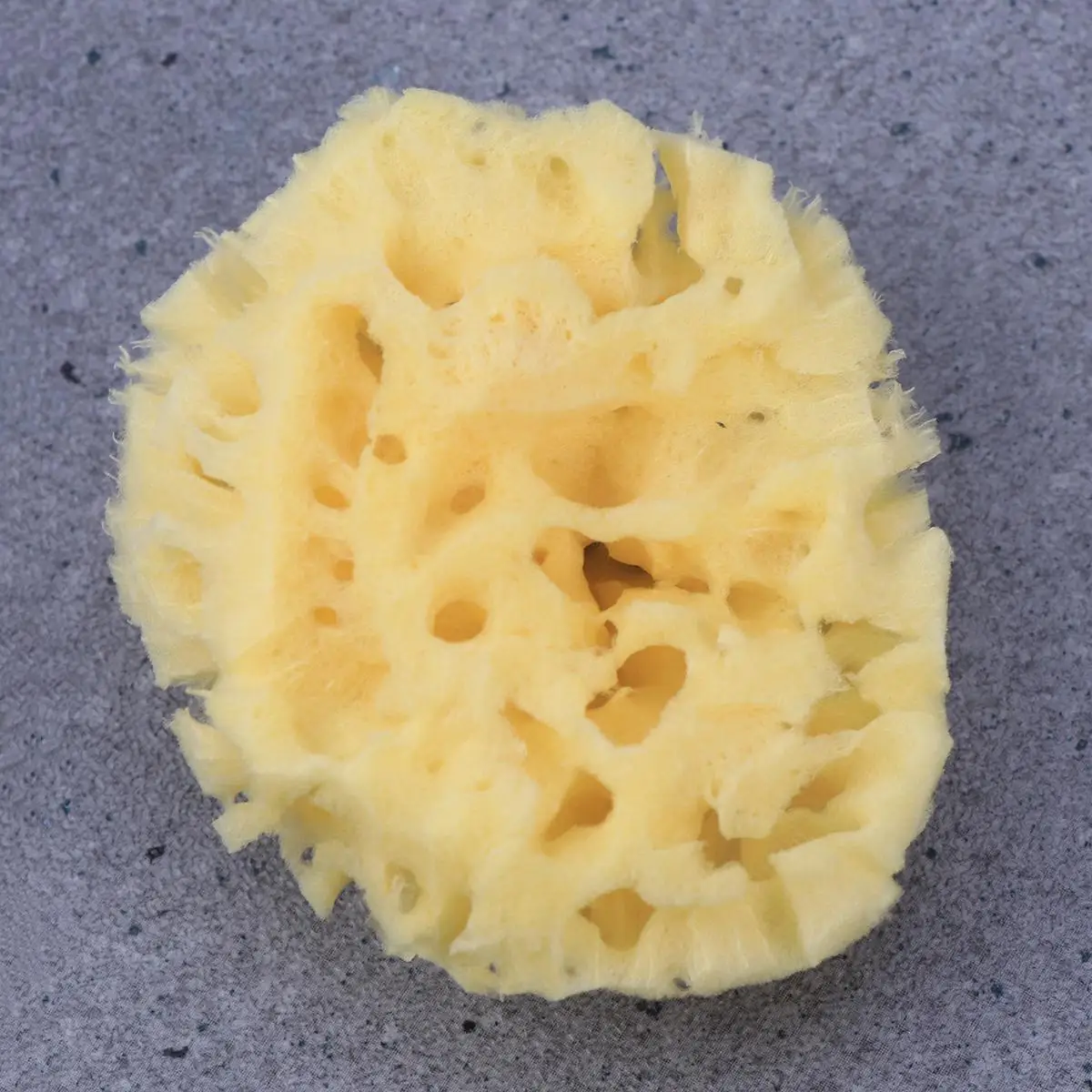 

Bath Sponge Seaweed Sponge Baby Bath Sponge Shower Sponge Bath Shower Sponge