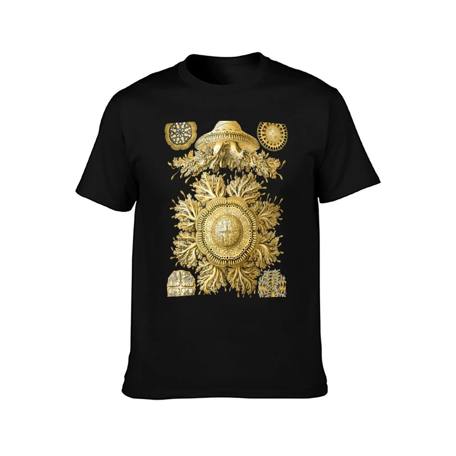 Ernst Haeckel - Scientific Illustration - Discomedusae (Jellyfish) T-Shirt Work Comfort for Men T-Shirt