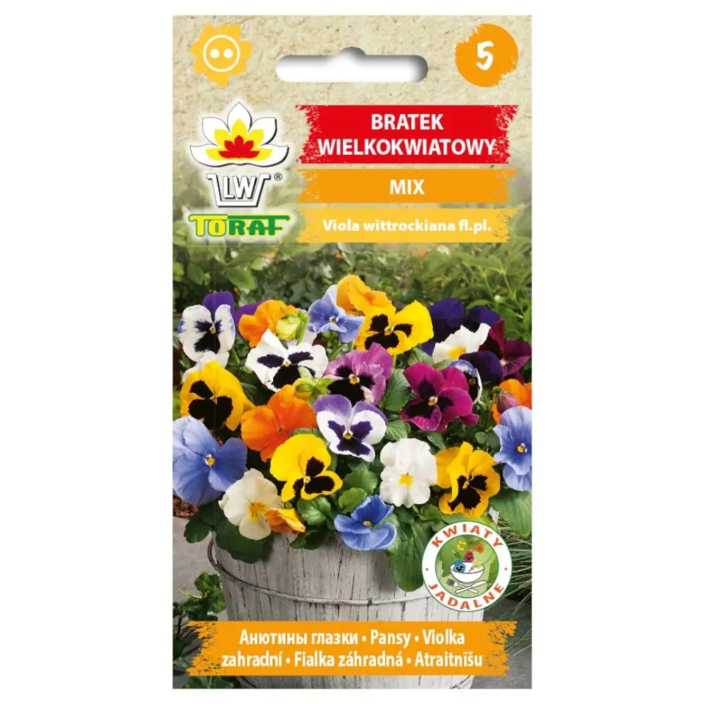 Graines de primulas à grandes fleurs, mélange de couleurs, fleurs volumineuses et abondantes, pour parterres de fleurs et pots