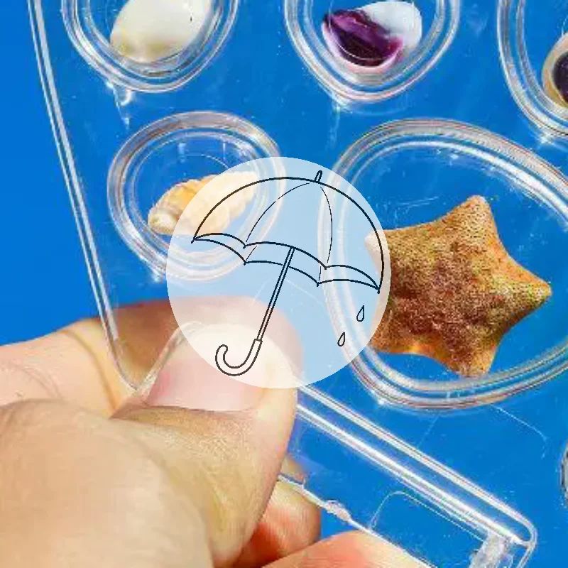 [HS]1Set Transparent Sea Shell Display Cabinet Acrylic Shell Shape Storage Box Mini Beach Stone Decorative Storage Frame